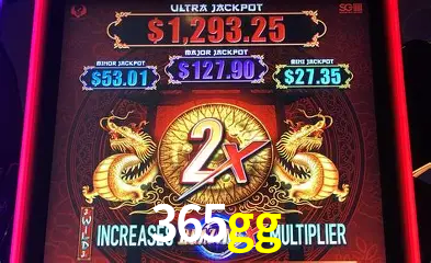 Live Casino 365gg
